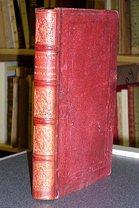 Les anglais au Pôle Nord, aventures du Capitaine Hatteras - Verne Jules