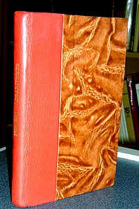Livre ancien - photo 1
