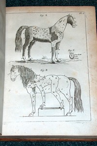 Cliquez ici pour en savoir plus sur cet ouvrage ancien