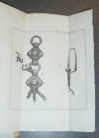 Mémoires de la Société royale académique (Académie) de Savoie. Tome III, 1828