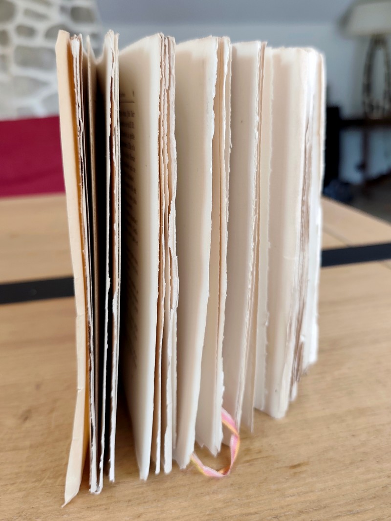 Le jardin des bêtes sauvages