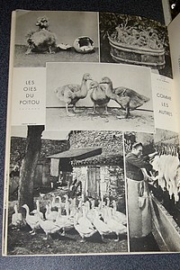 La France à Table, Poitou, n° 25, juin 1950