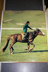 Chevaux d'hier, cavaliers d'aujourd'hui