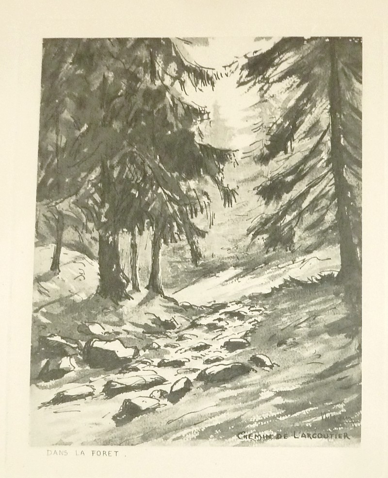 Livre ancien Savoie - Dans la forêt, chemin de l'argoutier - Drevet, Johanny