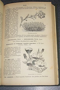 Supplément aux fleurs de pleine terre comprenant la description, la culture et l'emploi des espèces et variétés de fleurs annuelles, vivaces et bulbeuses de pleine terre