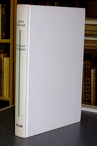L'enfant à femmes