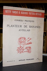 Conseils pratiques à un planteur de bananes antillais