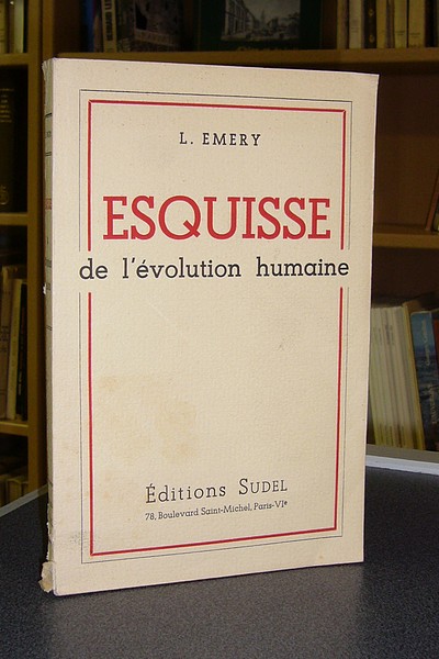 Esquisse de l'évolution humaine