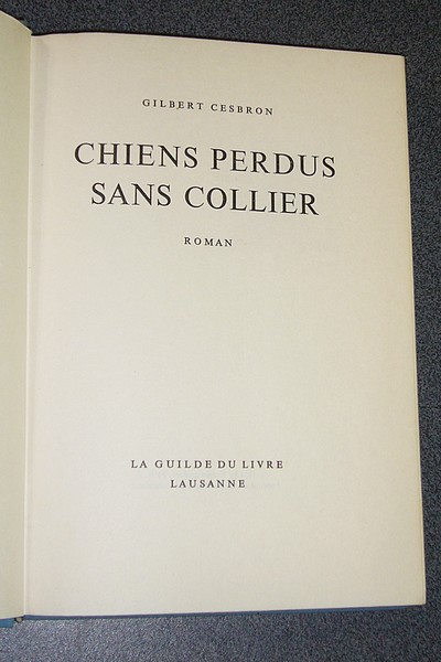 Chiens perdus sans collier