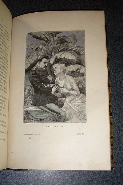 La Comtesse Sarah. Les batailles de la vie