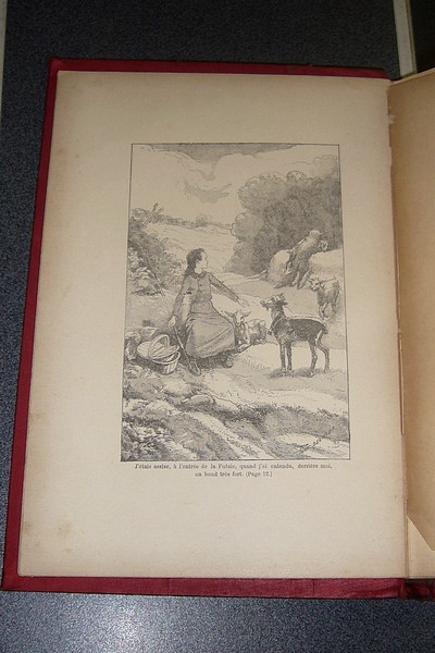 Drichette et ses amis