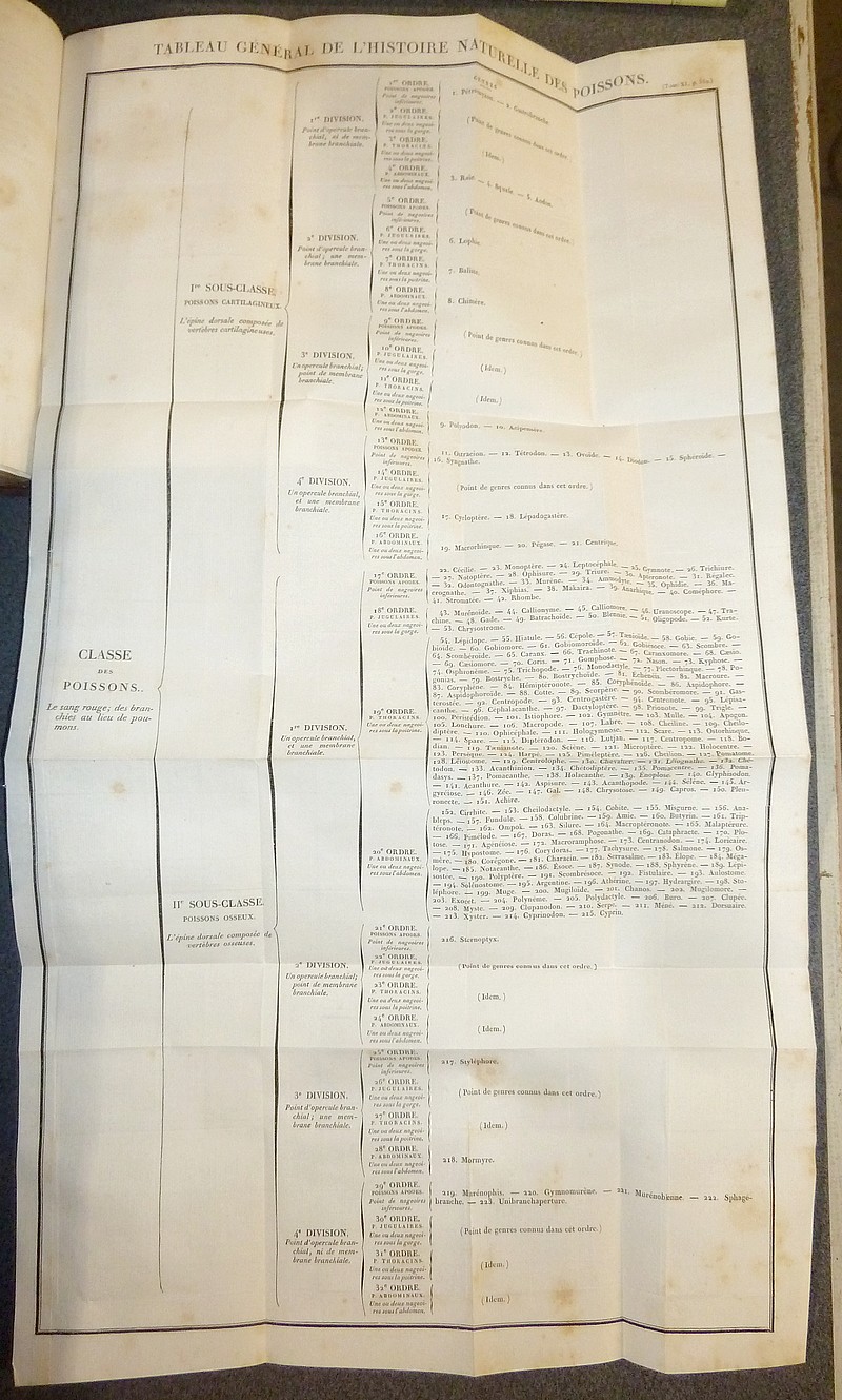 Oeuvres du Comte de Lacépède (11 Volumes, complet et 189 planches aquarellées gommées)