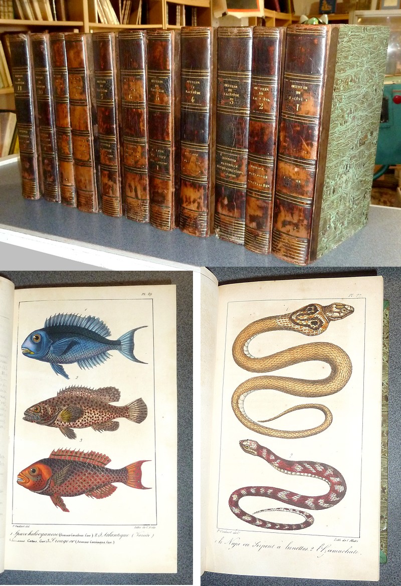 Oeuvres du Comte de Lacépède (11 Volumes, complet et 189 planches aquarellées gommées)