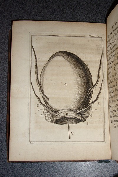Observations anatomiques tirées des ouvertures d'un grand nombre de cadavres, propres à découvrir les causes des maladies et leurs remèdes (1753)