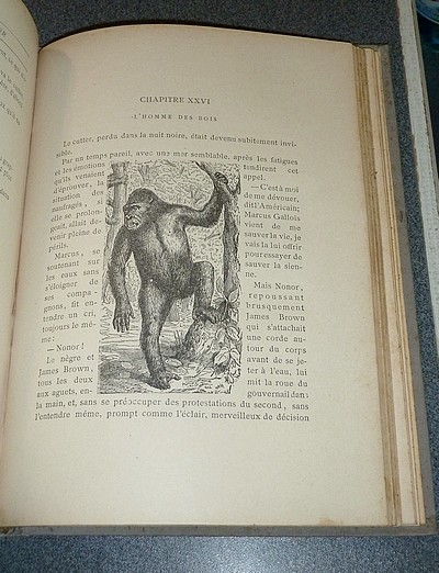 Le Don Quichotte de la mer. Aventures de Terre et de Mer