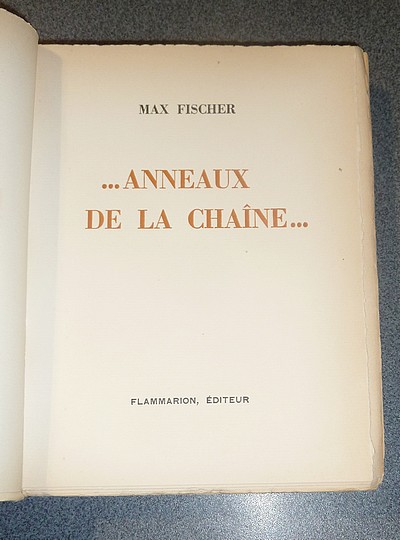 ... Anneaux de la chaîne...