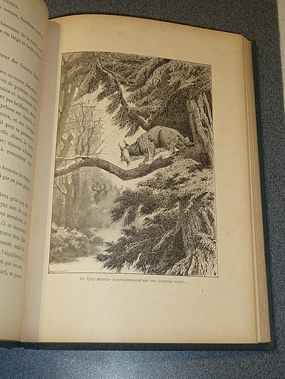 Par les Steppes et les Halliers (Récits d'un naturaliste russe)