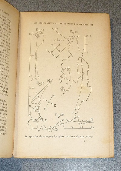Les Explorations et les Voyages des Fourmis