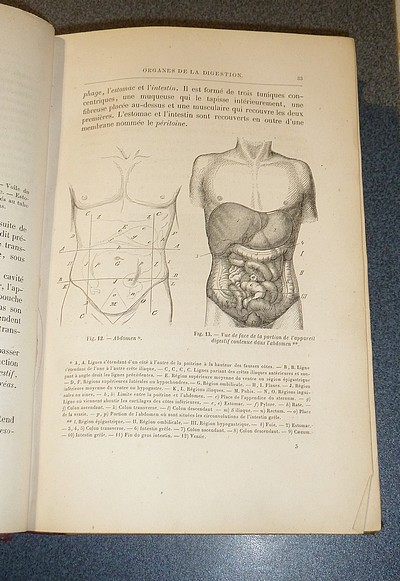 La Vie. Physiologie humaine appliquée à l'Hygiène et à la Médecine