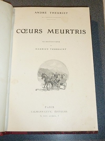 Coeurs meurtris - La maison des deux Barbeaux - Chanteraine - Michel Verneuil - La petite dernière