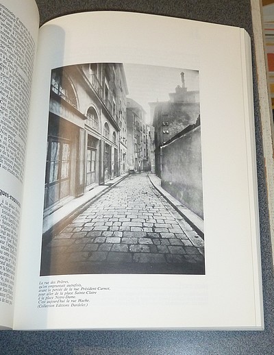 Grenoble des rues & des hommes. Rues, places, ponts, jardins, squares & quais