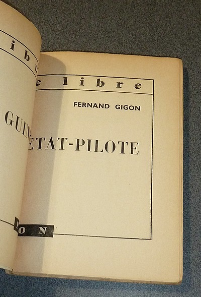 Guinée état-pilote