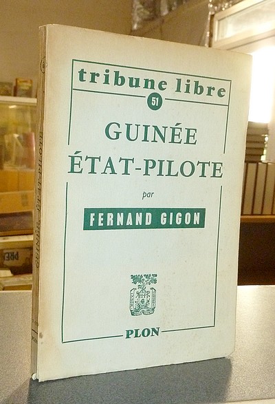 Guinée état-pilote