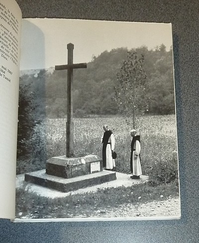 L'aventure spirituelle de Saint Pierre de Tarentaise. Printemps en chrétienté