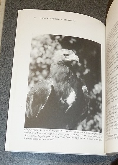 Images secrètes de la montagne, récit