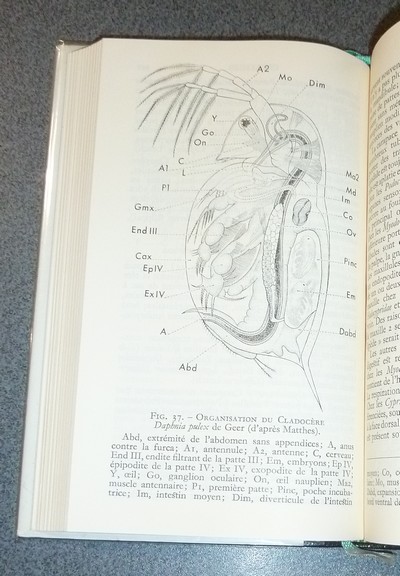 Zoologie II - Les Arthropodes