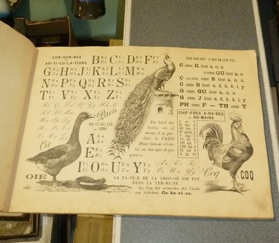 « La joie des Bébés ». Album alphabet des Grands Animaux domestiques et Poissons