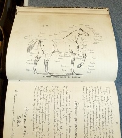 Leçons d'Hippologie
