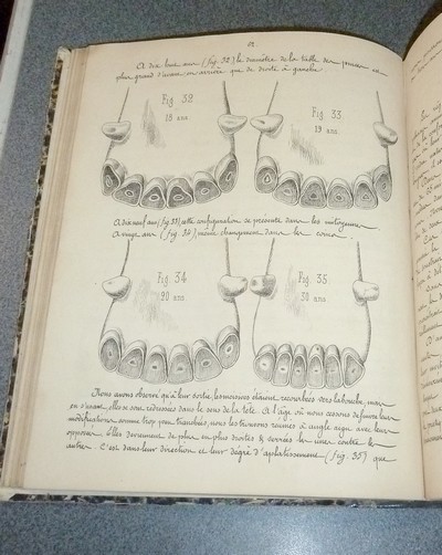 Leçons d'Hippologie