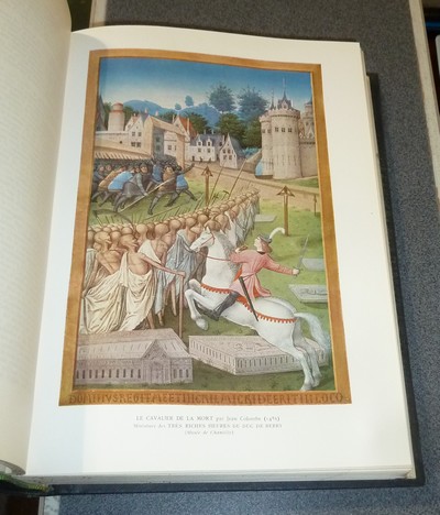 L'évolution Humaine des origines à nos jours (4 volumes) étude biologique, psychologique et sociologique de l'Homme