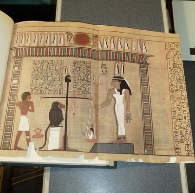 L'évolution Humaine des origines à nos jours (4 volumes) étude biologique, psychologique et sociologique de l'Homme