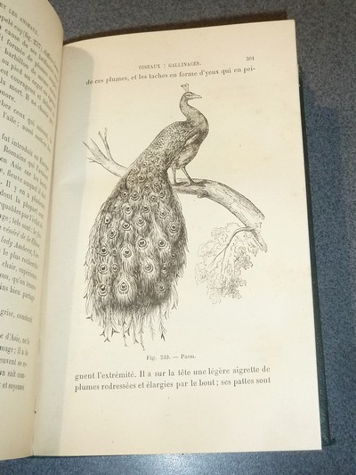 L'Homme et les animaux. Lectures de zoologie à la portée de tous