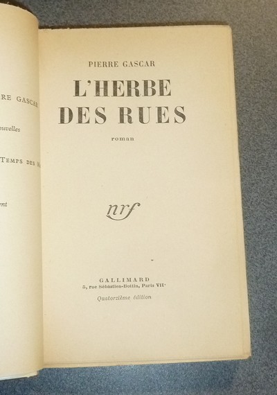 L'herbe des rues