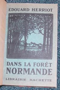 Dans la forêt normande