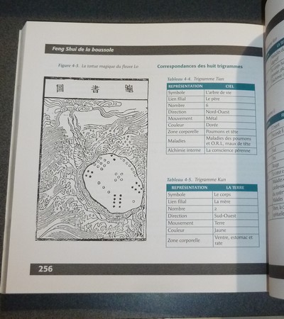 Feng Shui, manuel pratique (volume 1)