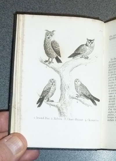 Petit Buffon illustré (Tome II). Histoire naturelle des oiseaux, extraits des grands ouvrages de Buffon, Lacepède et Cuvier