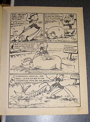 Zébu à la chasse