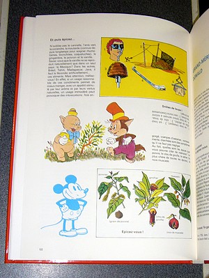 Encyclopédie Walt Disney