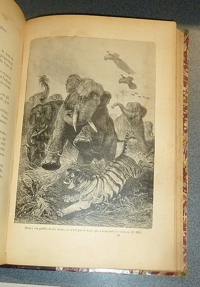 Curiosités de l'Histoire des Betes. Causeries familières sur les individus les plus remarquables du règne animal