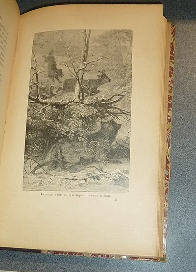 Curiosités de l'Histoire des Betes. Causeries familières sur les individus les plus remarquables du règne animal