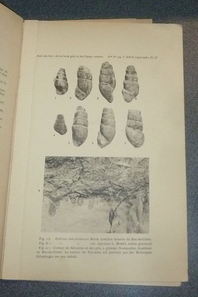 Monographie géologique du Roc-de-Chère (Lac d'Annecy)