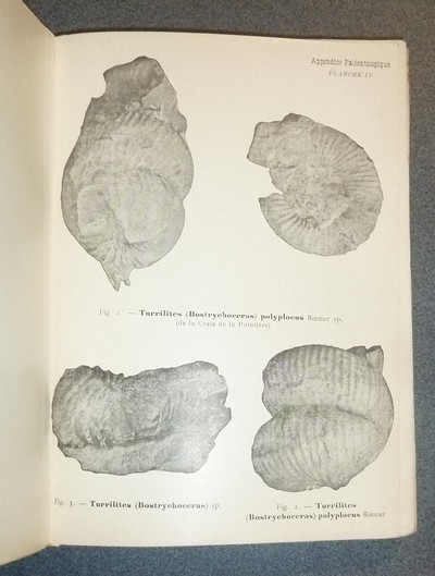 Mémoires de l'Académie des Sciences Belles-Lettres et Arts de Savoie. Cinquième série, Tome II, 1914. Géologie des chaines jurassiennes et subalpines de la Savoie - Etude sur les Usages et le droit privé en Savoie au milieu du Seizième siècle