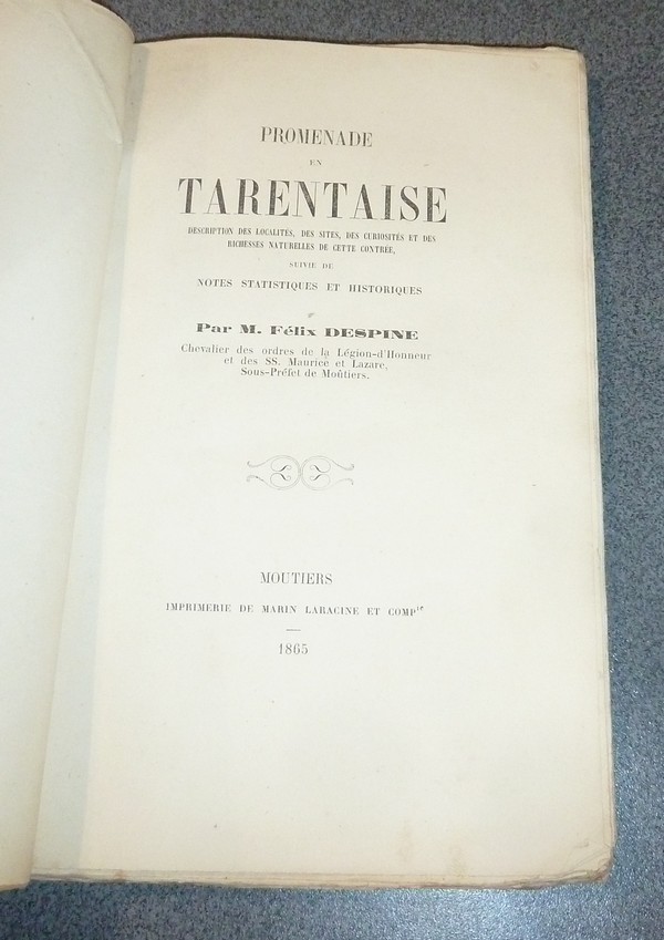 Promenade en Tarentaise. Description des localités, des sites, des curiosités et des richesses naturelles de cette contrée. Notes statistiques et historiques