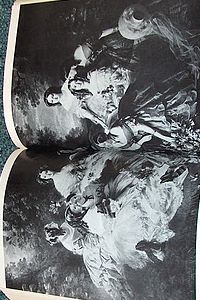 Les Bonaparte