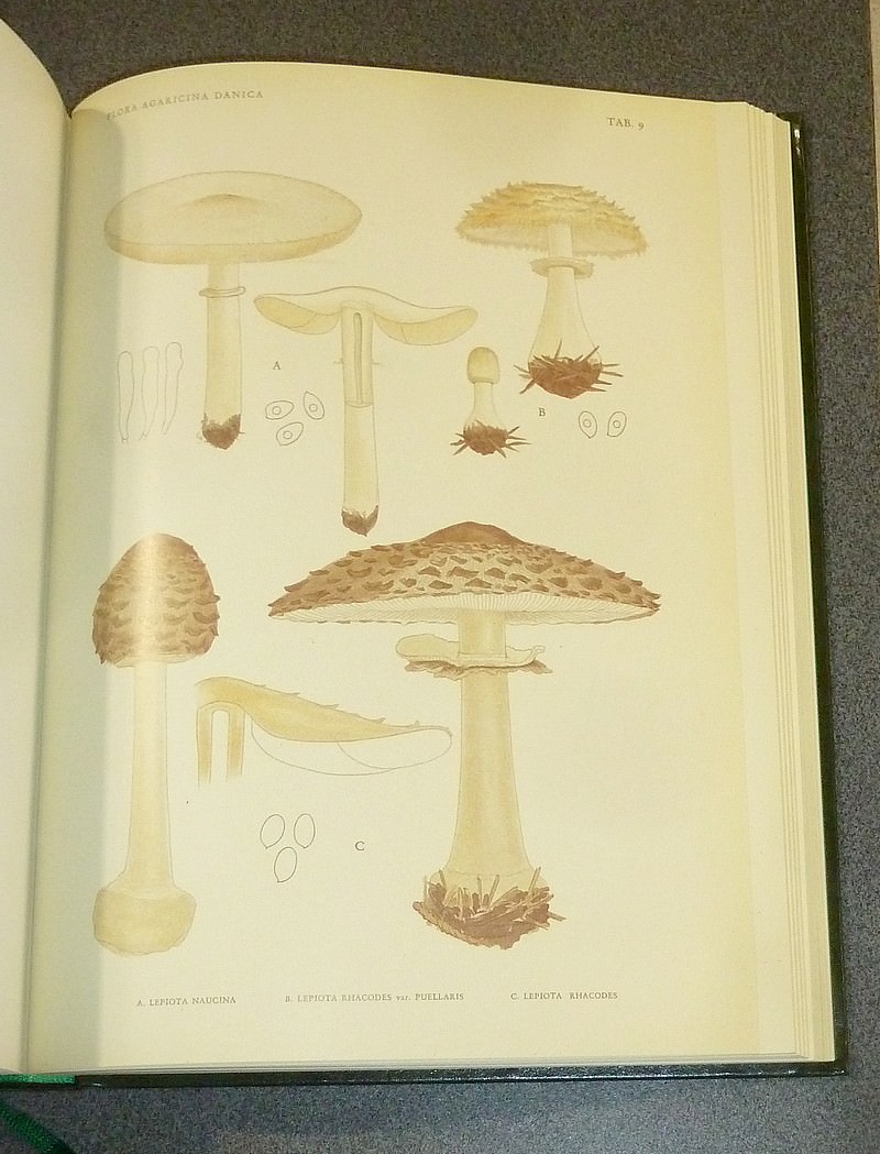 Flora agaricina danica (complet en 2 volumes)