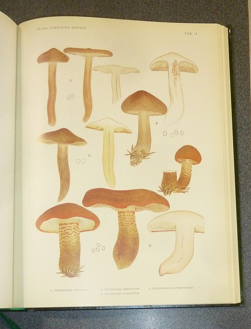 Flora agaricina danica (complet en 2 volumes)